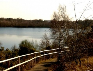 The lake.jpg